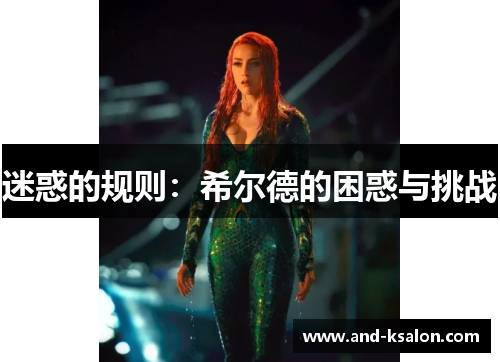 迷惑的规则：希尔德的困惑与挑战